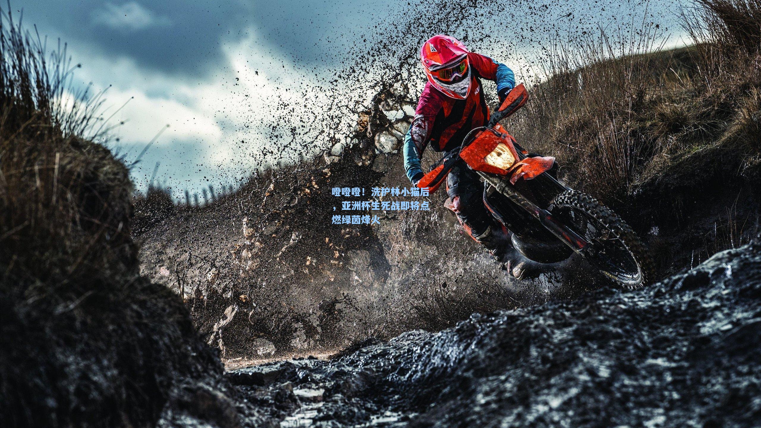 噔噔噔！洗护林小猫后，亚洲杯生死战即将点燃绿茵烽火